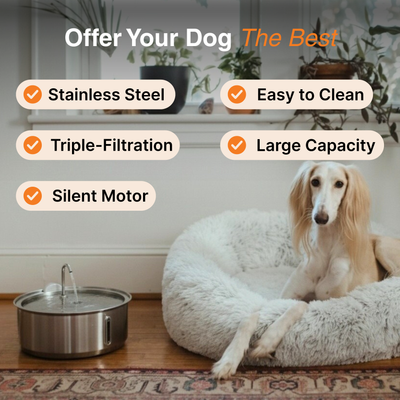 The Doggy Fountain™