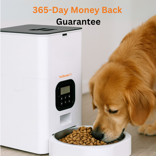 Automatic Doggy Feeder