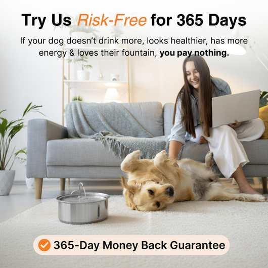 The Doggy Fountain™