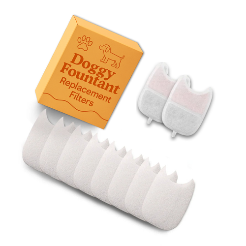 2 Extra Fountain Filters