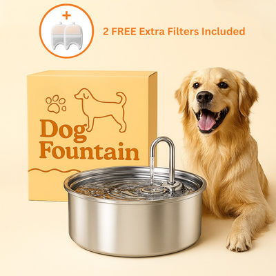 The Dog Fountain™