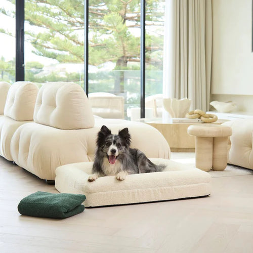 Orthopedic Bed