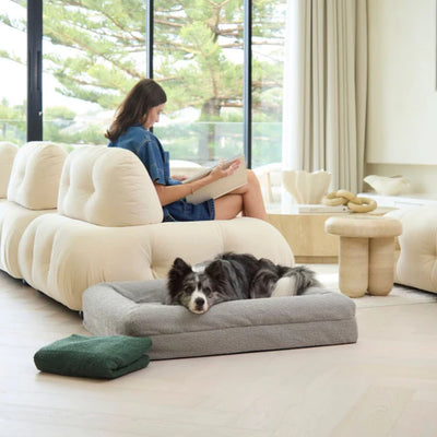 Orthopedic Bed