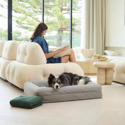 Orthopedic Bed