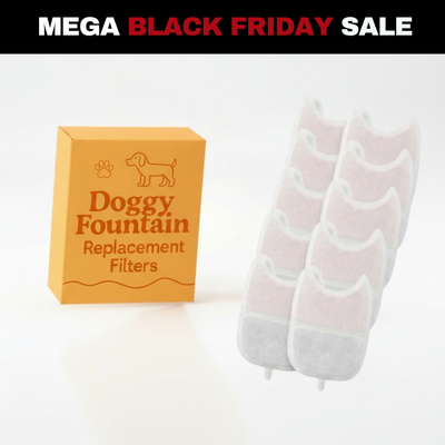 10 Filter Pack - 8 Months