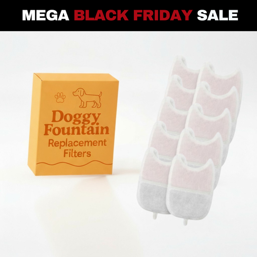 10 Filter Pack - 8 Months