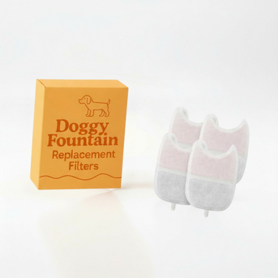 4 Filter Set - 2 Months