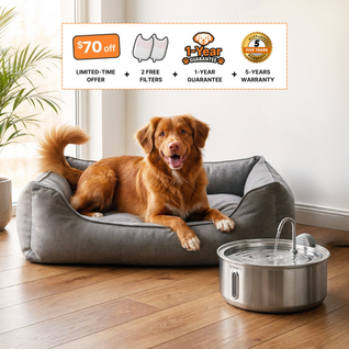 The Doggy Fountain™