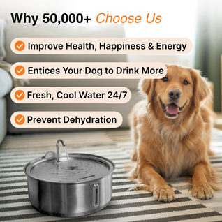 The Doggy Fountain ™