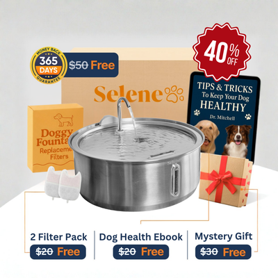 The Doggy Fountain™