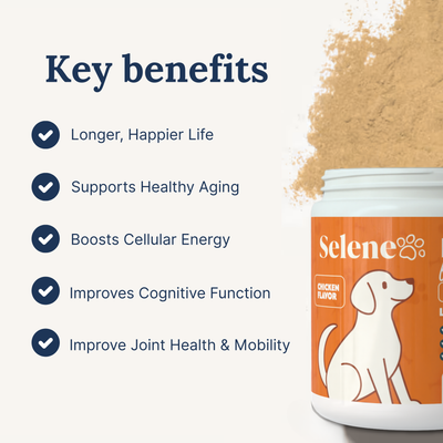 NAD+ Anti-Aging Precursor Powder