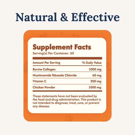 NAD+ Anti-Aging Precursor Powder