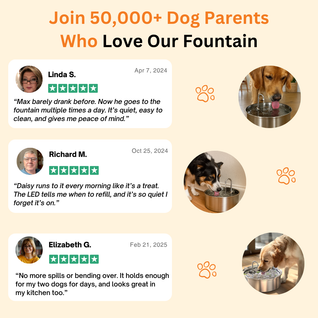 The Doggy Fountain