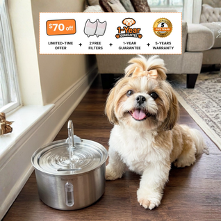 The Doggy Fountain™