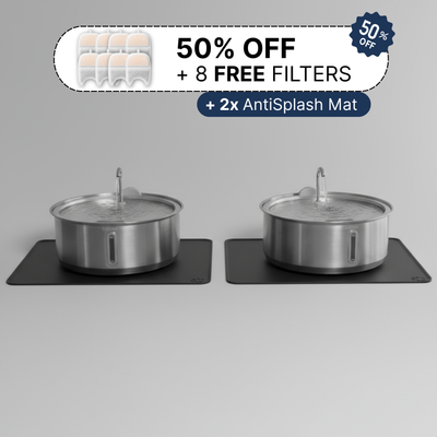 Doggy Fountain Duo Pack