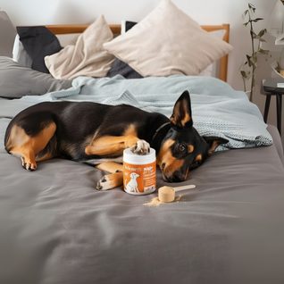 NAD+ Aging Supplement