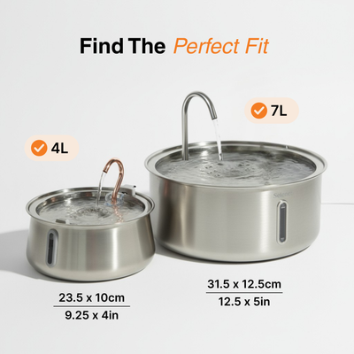 The Doggy Fountain™