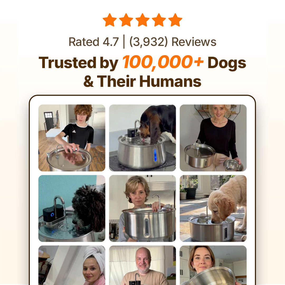 wireless 4l capacity