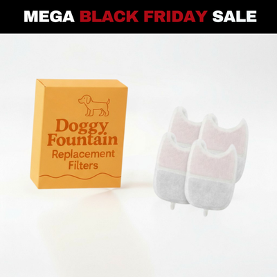 4 Filter Pack - 2 Months