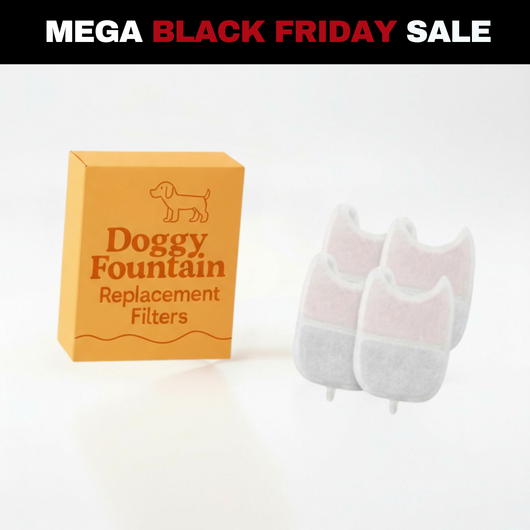 4 Filter Pack - 2 Months