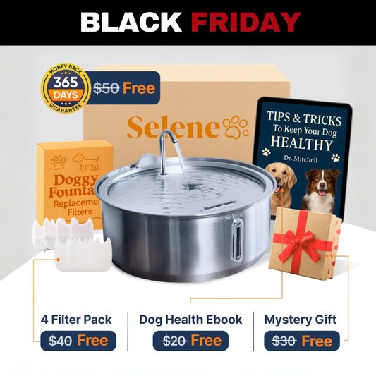 The Doggy Fountain™