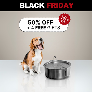 The Doggy Fountain™