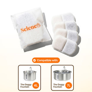 Plug-In 2.0 Fountain Filters