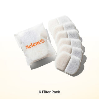 Plug-In 2.0 Fountain Filters