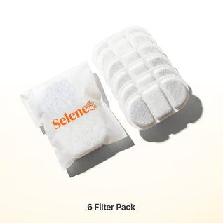 Plug-In Fountain Filters