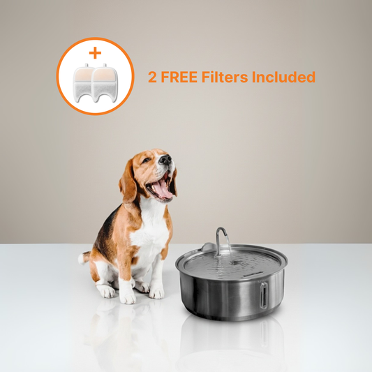 The Doggy Fountain™