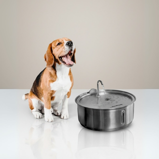 The Doggy Fountain™