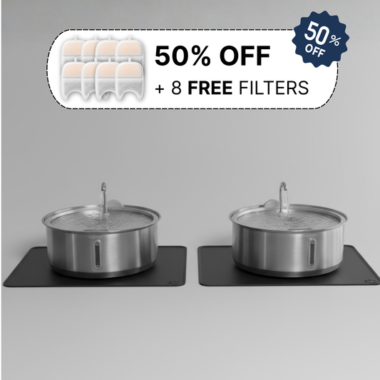 Doggy Fountain Duo Pack