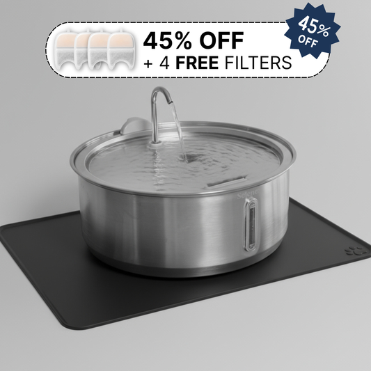 Doggy Fountain Complete Set