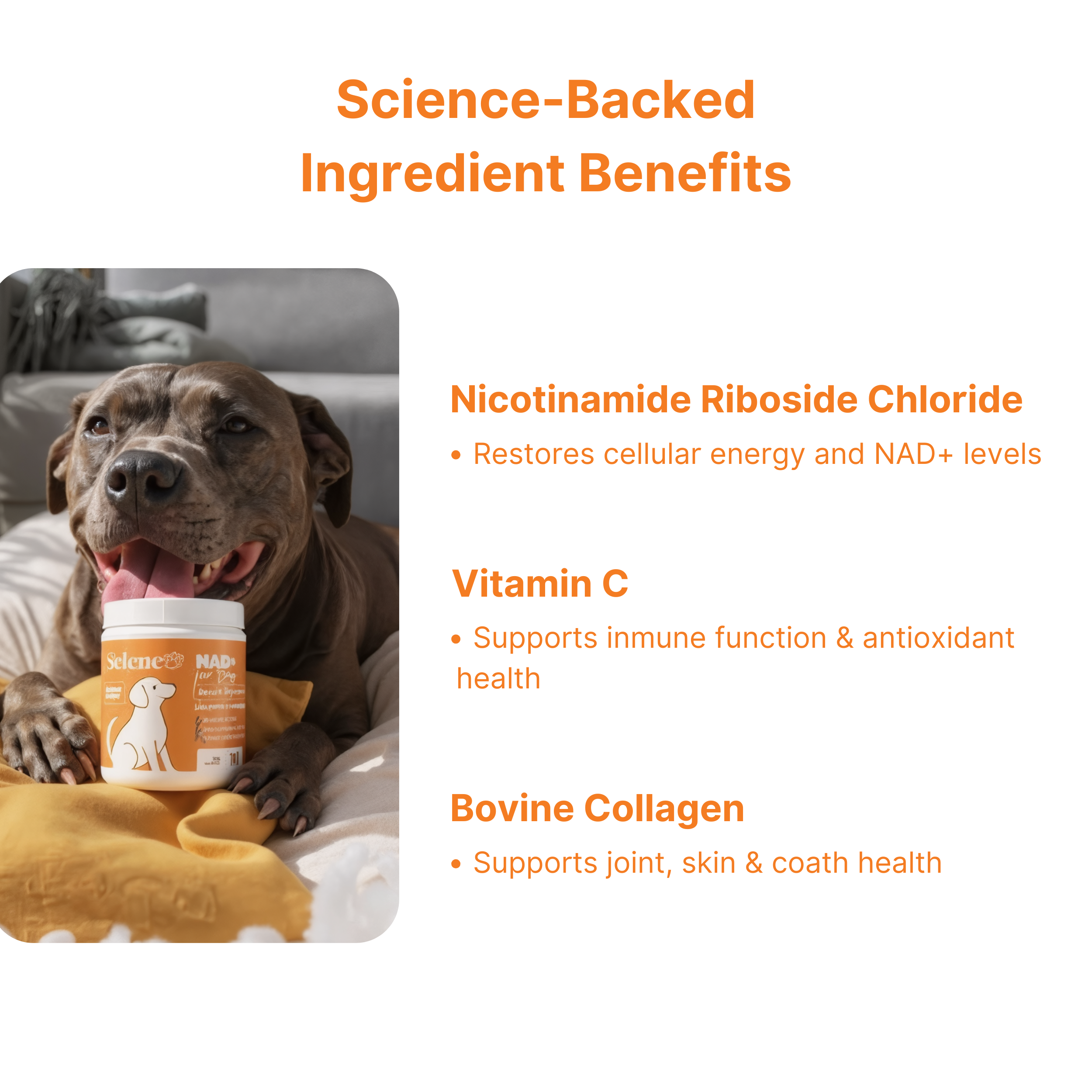 NAD+ Aging Supplement