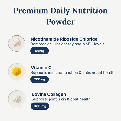 NAD+ Anti-Aging Precursor Powder