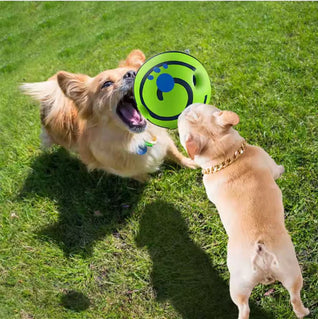 Interactive Dog Ball