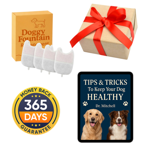 Limited Offer: 4 FREE Gifts