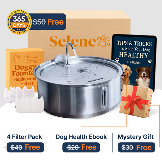 The Doggy Fountain™